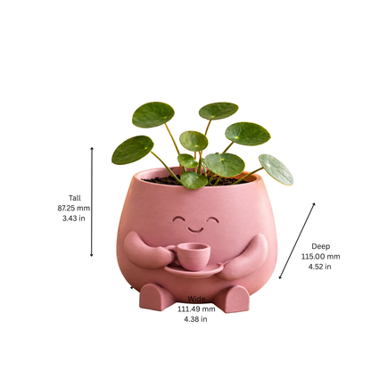 "For the love of tea Or Coffee" Planter Buddy