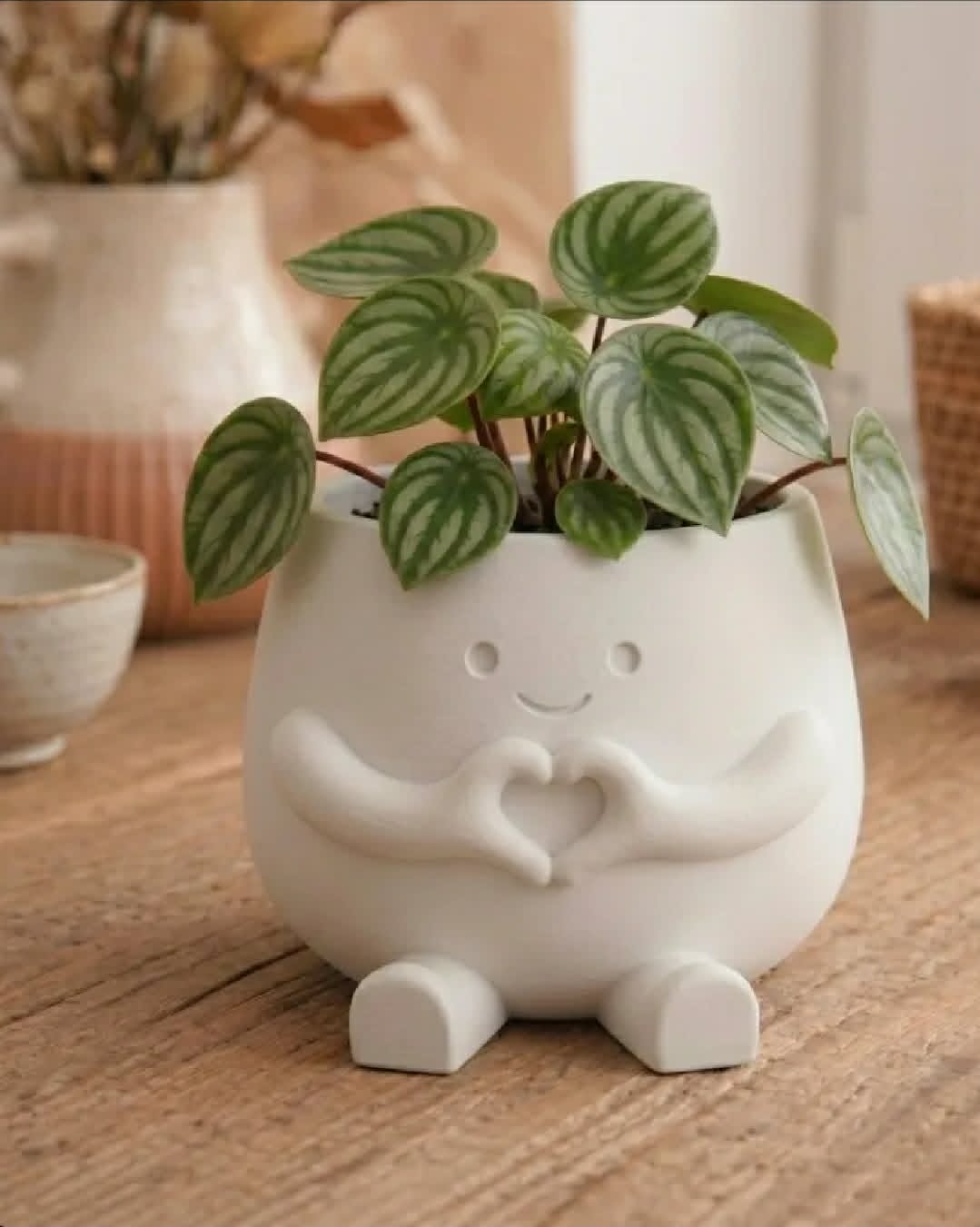 "Happy Heart Hands" Planter Buddy